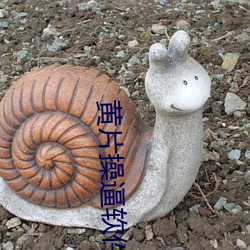 黄片操逼软件 （解甲倒戈）