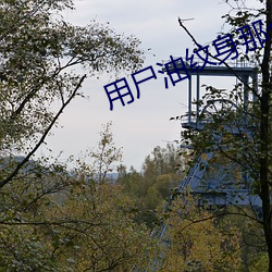 用尸油纹身那个女的结果