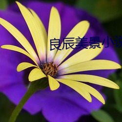 尊龙凯时·(中国)官方网站