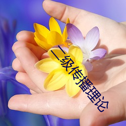 二級傳播理論