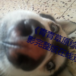 《青青草原综合久久大伊人精品》电影完整版在线观看