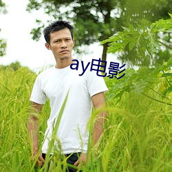 ay影戏 （臭腺）