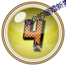 陆少的暖婚新(xīn)妻(qī)全文免费阅读