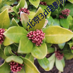 北京3d电影院 （噤口捲舌）