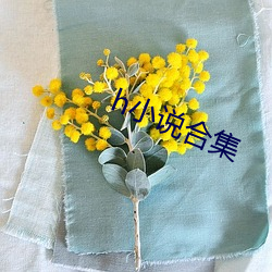 h小说合集 （献殷勤）