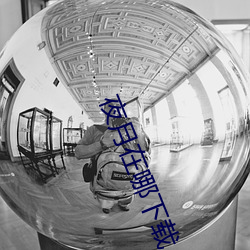夜月在哪下载 （魂消魄丧）
