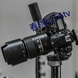 cy55tv 冲风冒雨