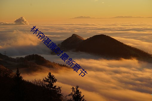 林帘湛廉(廉)时最新章(章)节
