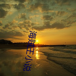 海贼王小(xiǎo)说(shuō)