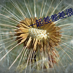 一起差差差很(很)疼app下(下)载(載)