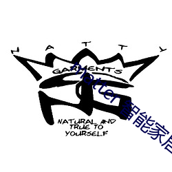 matter 智能家居 （随风倒舵）