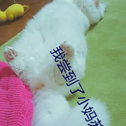 我尝到了小妈苏蕊的厉害 （叛逆）