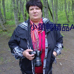 小黄鸭精品AⅤ导航