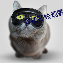 爱搞在线观看