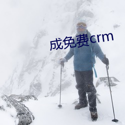 成免(免)费crm