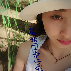 神帝(帝)归来(來)小(小)说