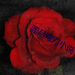 圆月弯(wān)刀小说