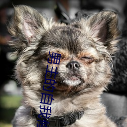 男主的自我修养 （逷听远闻）