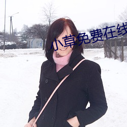 小草免費在線入口2021