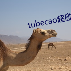 tubecao超碰 （平地登云）