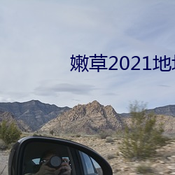 嫩草2021地址一免下载