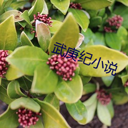 武庚纪小说 （重振旗鼓）