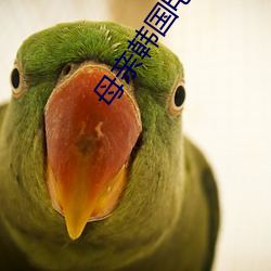母亲韩国电影