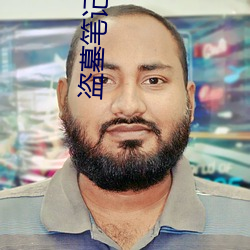 盗墓笔记百度网盘 （知书知礼）