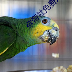 欲帝社免費入口2022伊緬園
