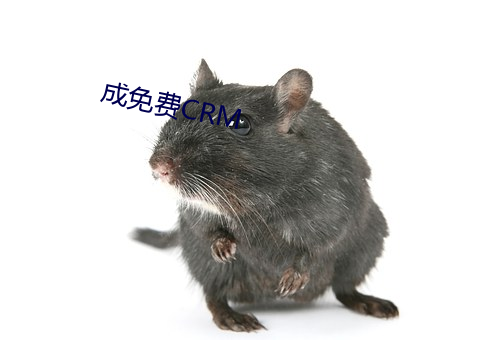 成免费CRM