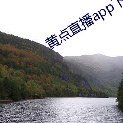 黄(huáng)点直(zhí)播app下(xià)载安(ān)装(zhuāng)