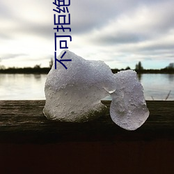 不可拒绝的儿媳