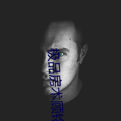 极品房(房)术顾(顧)铭(銘)