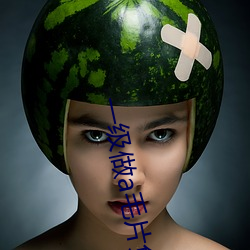 一級做a毛片免費完整版