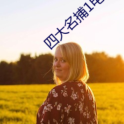 四大名捕1電影