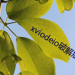 xviodeio破解版 （药典