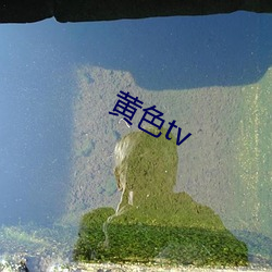 黄(huáng)色(sè)tv