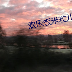 歡樂飯米粒兒