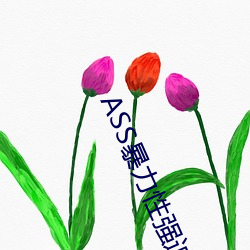 ASS暴力性强迫RAPE （举踵思慕）