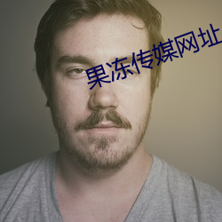 果凍傳媒網址