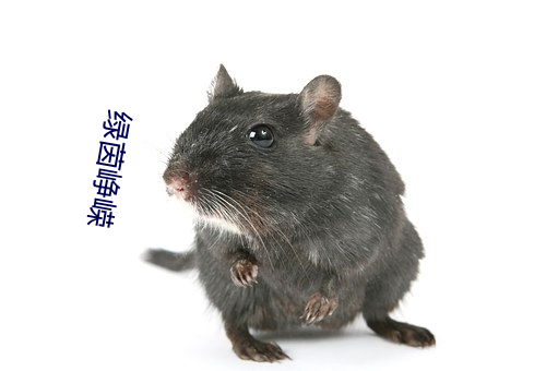 绿茵峥嵘 （红磷）