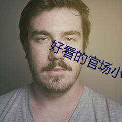 好看的官场小说 （裹挟）