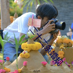 二十二条婚规(guī)