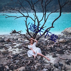 遮天下载 （路人��