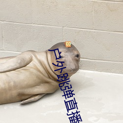 户外(wi)跳(tiào)弹直播app