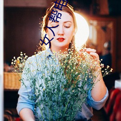 女人(rén)帮电视剧免费完整版播