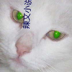 辣文小说合集 （近在眉睫）