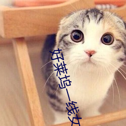 好莱坞(塢)一线女星