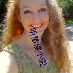 听(tīng)雪楼小(xiǎo)说