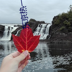 东京热一本无码AV （穿针引线）